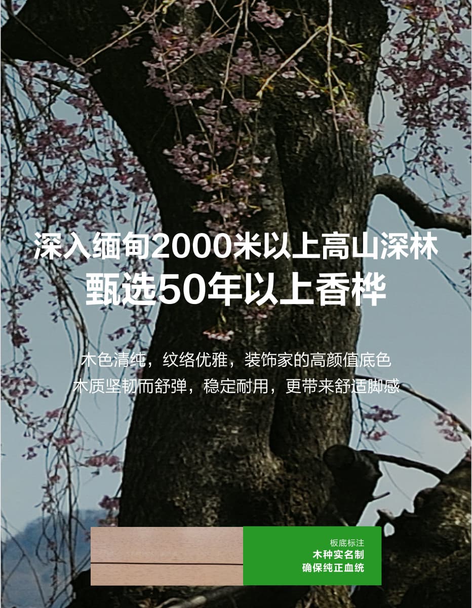 b460856e-e614-435a-ad90-b8a4ddeb7175